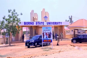 Borno State University School Fees