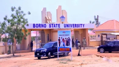 Borno State University School Fees