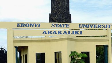 Ebonyi State University School Fees