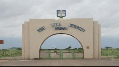 Yobe State University School Fees