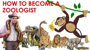 Best Universities to Study Zoology in Nigeria
