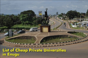 List of Cheap Private Universities in Enugu