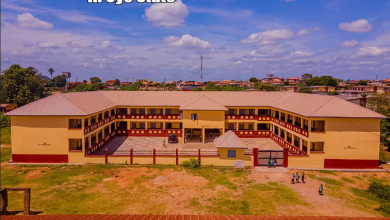 List Of Top Nursing Schools In Borno State » JustSchooling