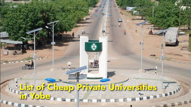 List of Cheap Private Universities in Yobe