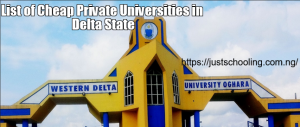 List of Cheap Private Universities in Delta State