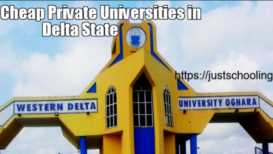 List of Cheap Private Universities in Delta State