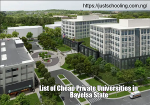List of Cheap Private Universities in Bayelsa State
