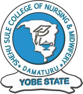 Shehu Sule College of Nursing and Midwifery Damaturu