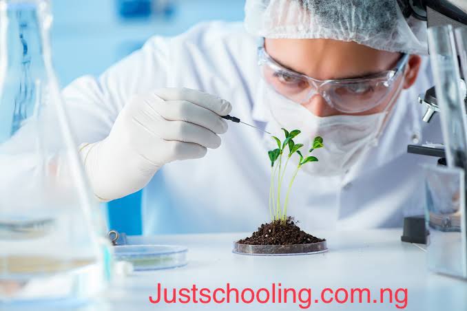 Universities With the Lowest Cut-Off Marks for Biotechnology in the Nigeria